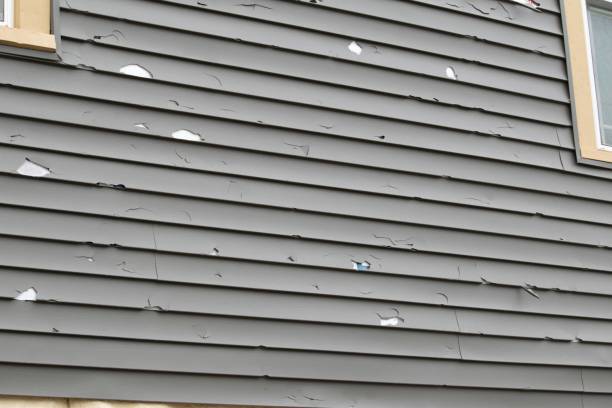 Best Residential Vinyl Siding Installation  in Kinnelon, NJ