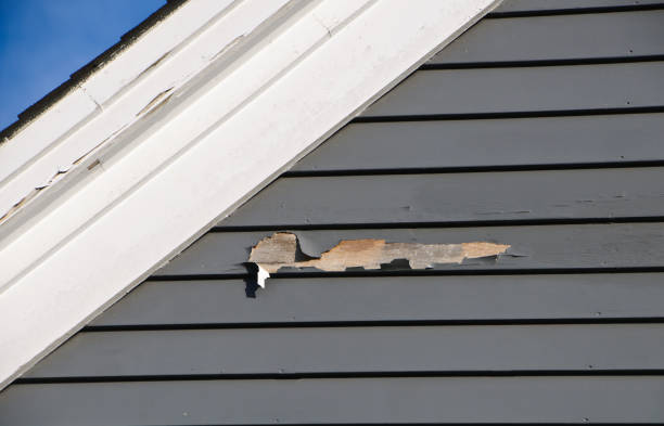 Best Insulated Siding Installation  in Kinnelon, NJ